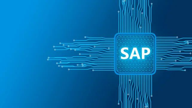 SAP B1 Implementation in Punjab